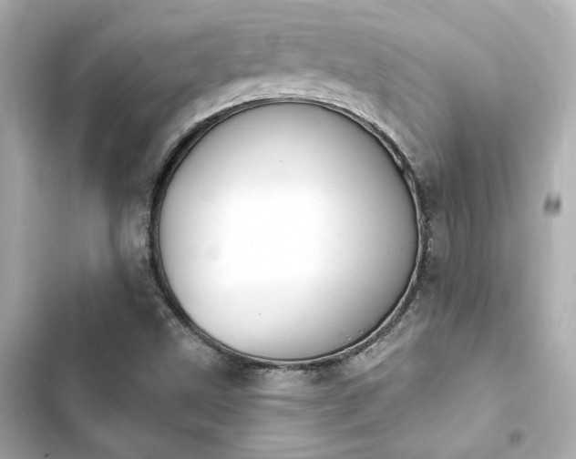 X0000103931499200809191337