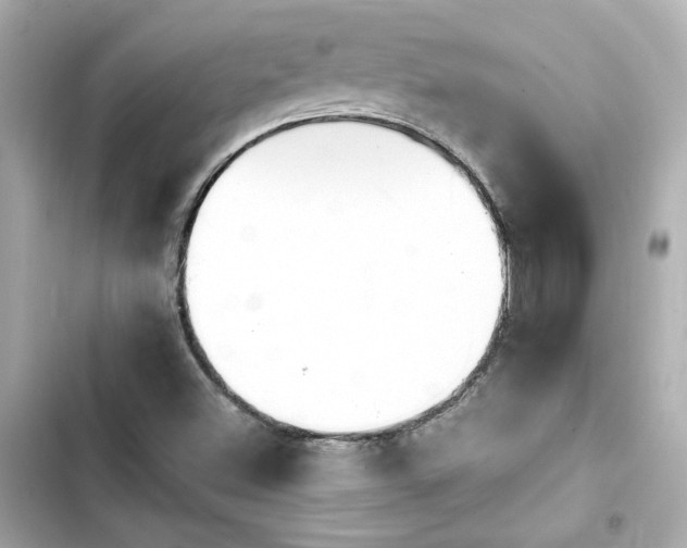 X0000103931500200809191337