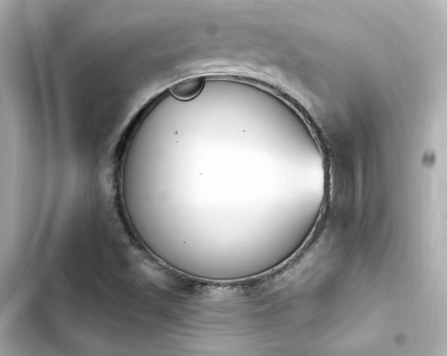 X0000103931501200809191337