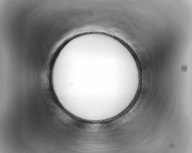 X0000103931502200809191337