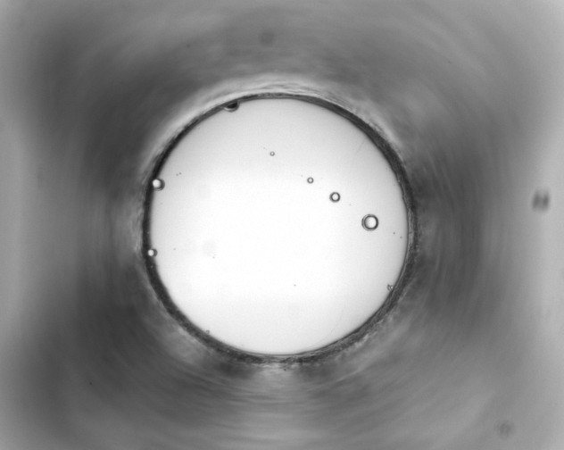 X0000103931504200809191337