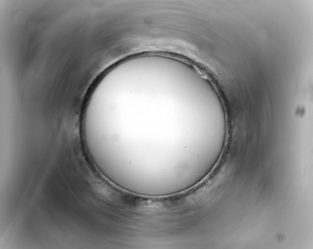 X0000103931505200809191337