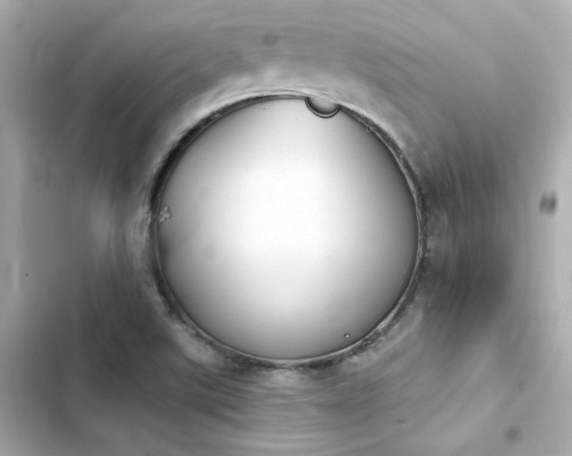 X0000103931507200809191337