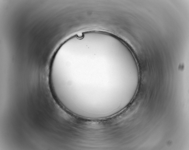 X0000103931508200809191337