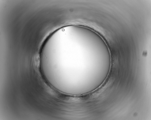 X0000103931509200809191337