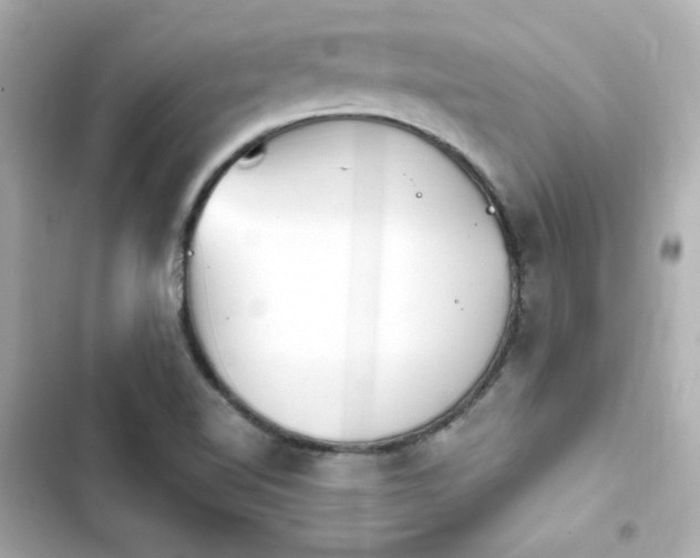 X0000103931510200809191337