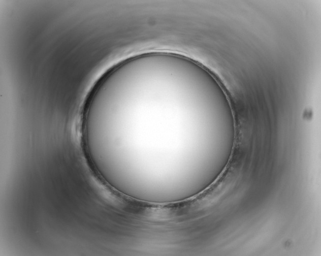 X0000103931511200809191337