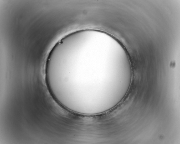 X0000103931512200809191337