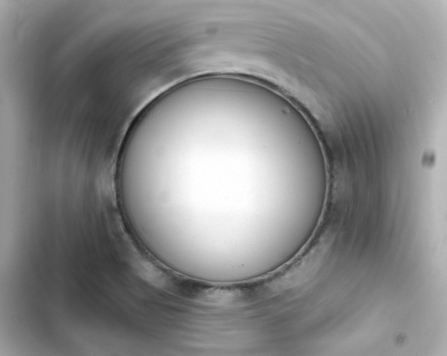 X0000103931513200809191337