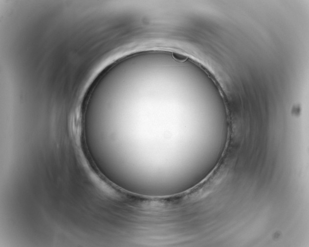 X0000103931515200809191337