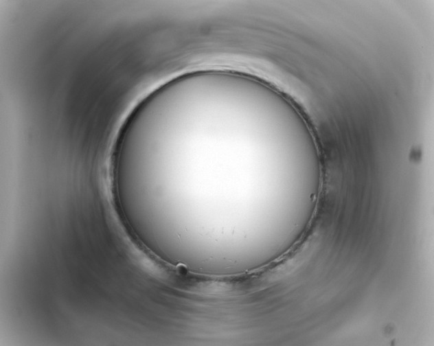 X0000103931517200809191337