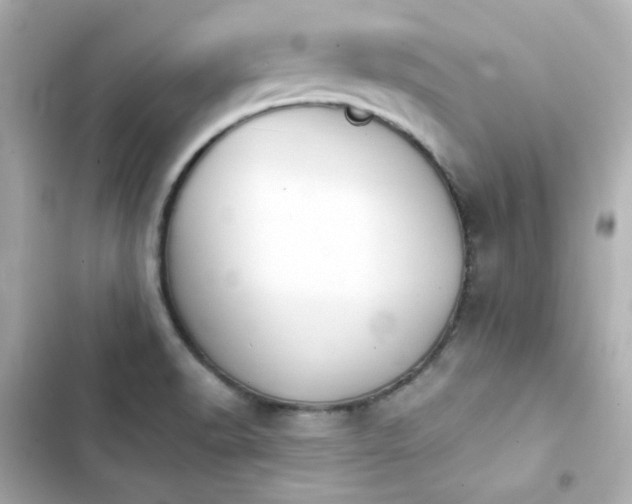 X0000103931518200809191337