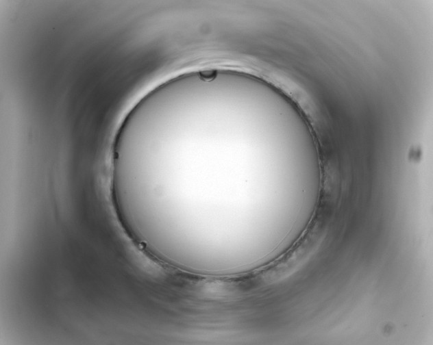 X0000103931520200809191337