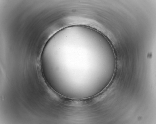 X0000103931521200809191337