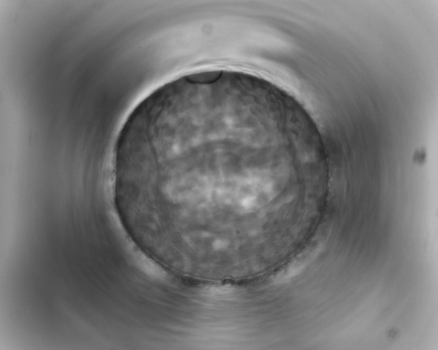 X0000103931522200809191337