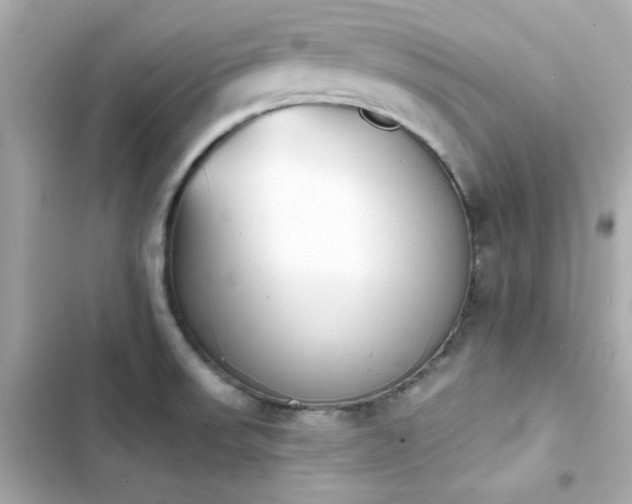X0000103931523200809191337