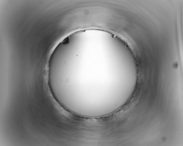 X0000103931524200809191338