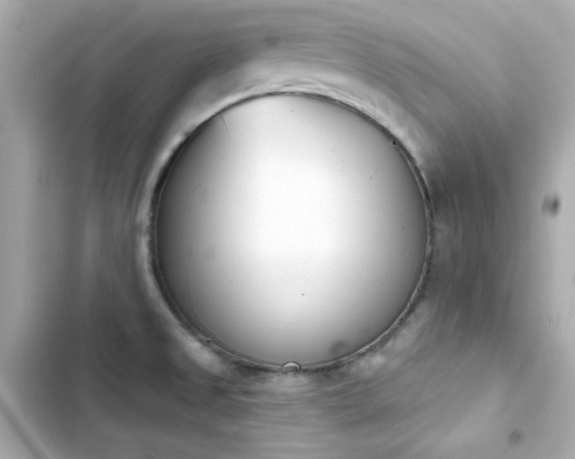 X0000103931525200809191338