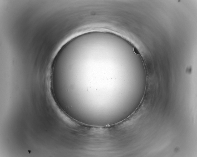 X0000103931526200809191338