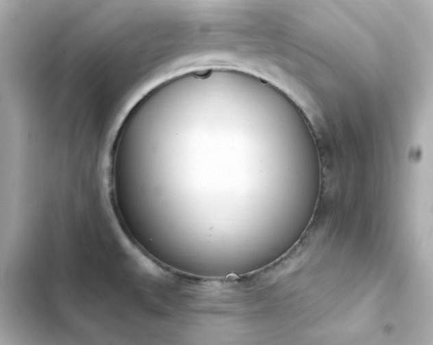 X0000103931527200809191338
