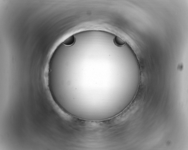 X0000103931528200809191338