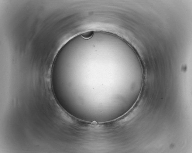 X0000103931529200809191338
