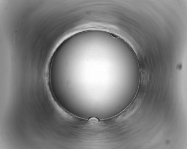 X0000103931531200809191338
