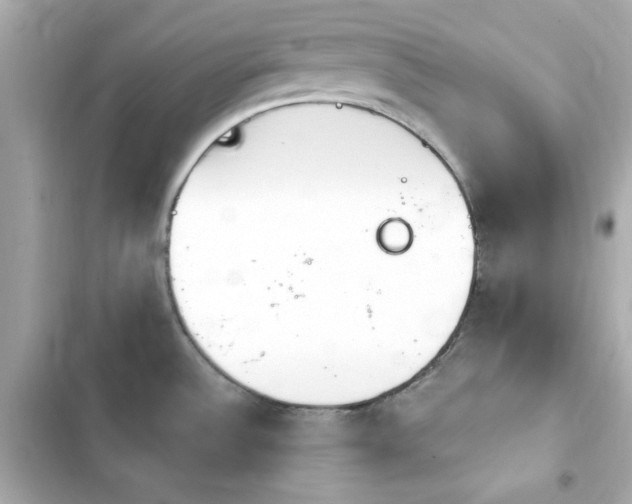 X0000103931532200809191338