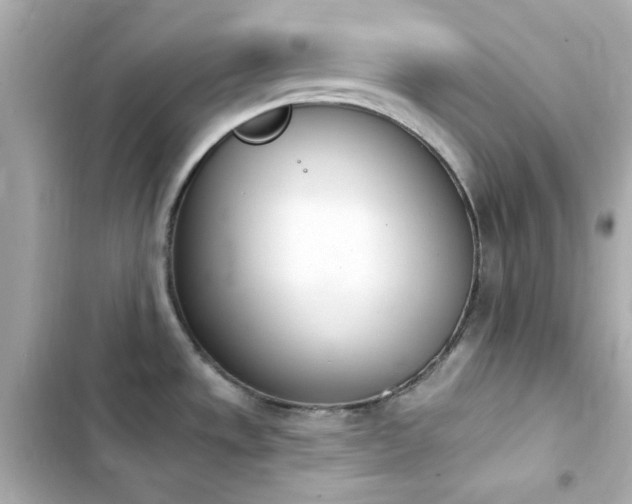 X0000103931533200809191338