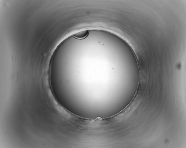 X0000103931534200809191338