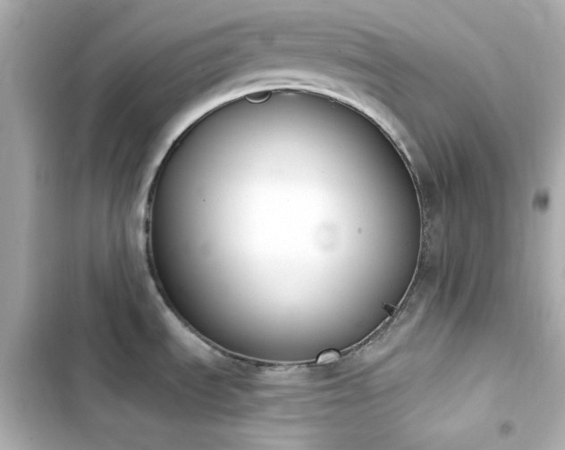 X0000103931535200809191338