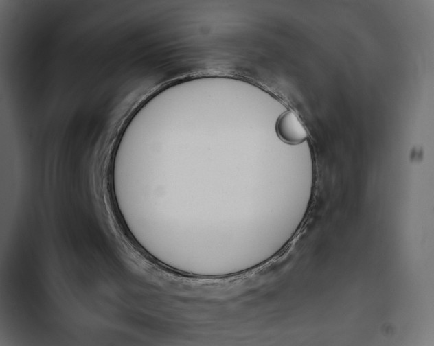 X0000103930001200809261714