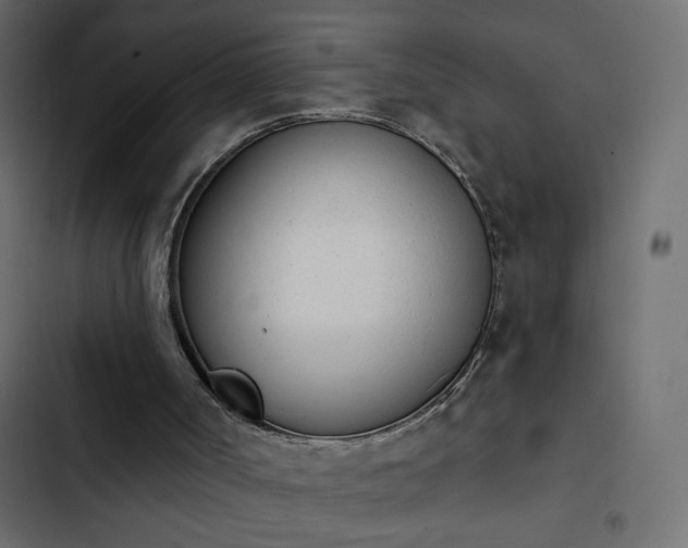 X0000103930002200809261714
