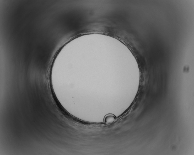 X0000103930004200809261714