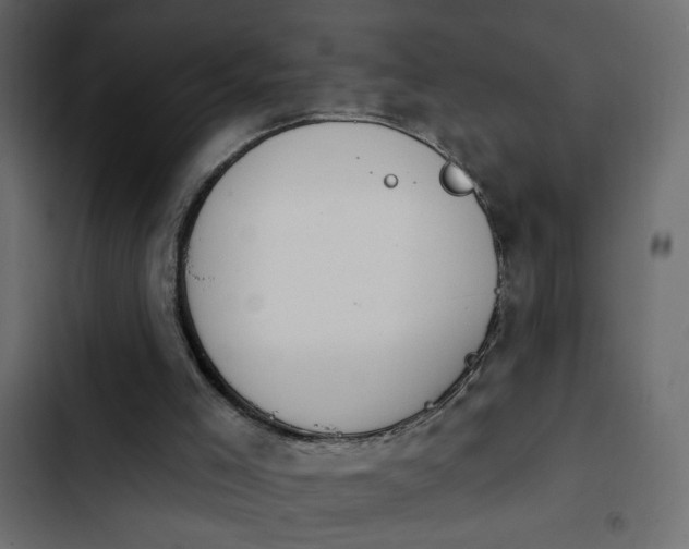 X0000103930005200809261714