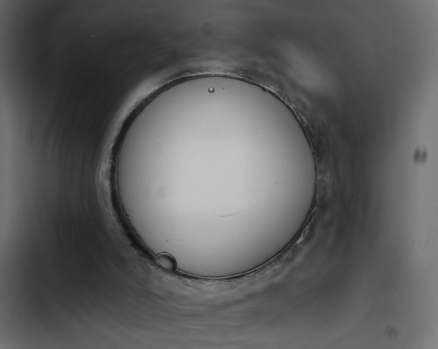 X0000103930006200809261714