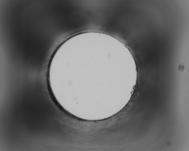 X0000103930007200809261714