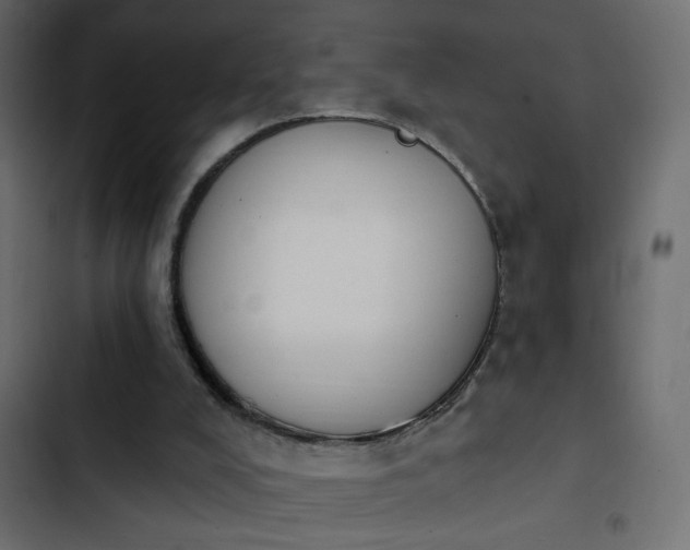X0000103930008200809261714
