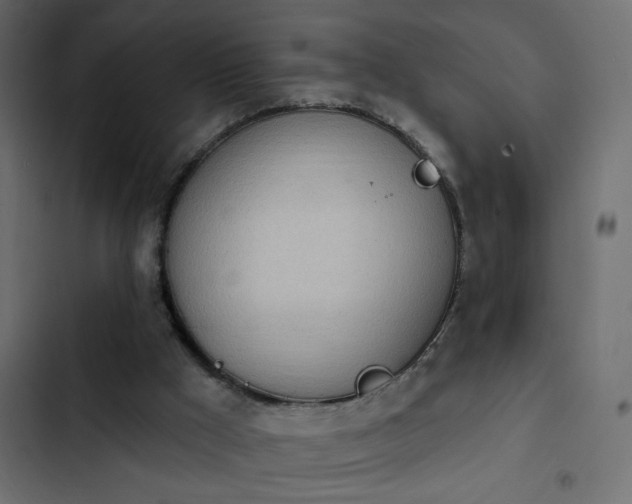 X0000103930009200809261714