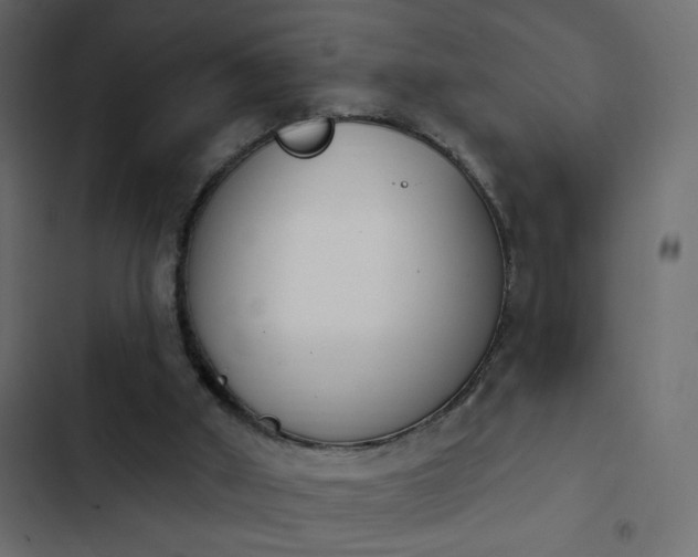 X0000103930010200809261713