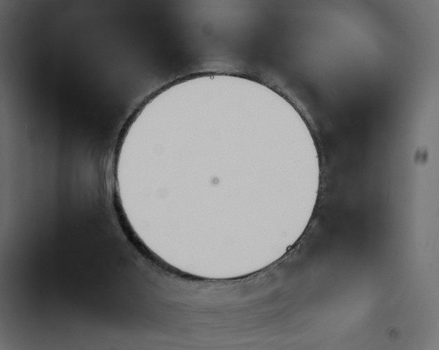 X0000103930011200809261713