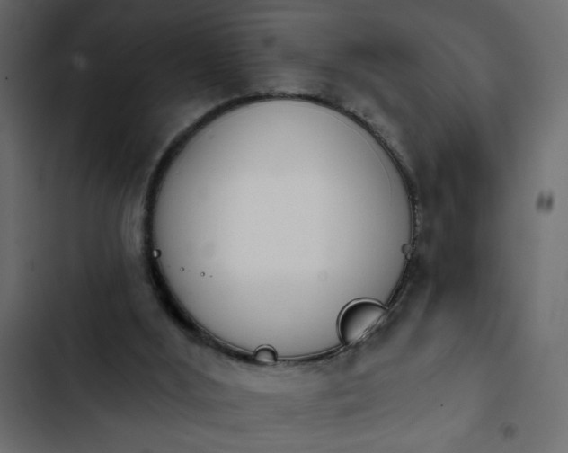 X0000103930012200809261713