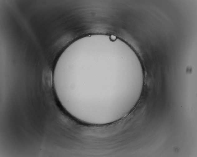 X0000103930013200809261713