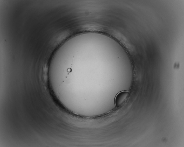 X0000103930014200809261713