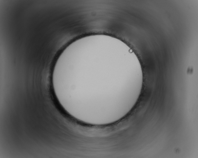 X0000103930016200809261713