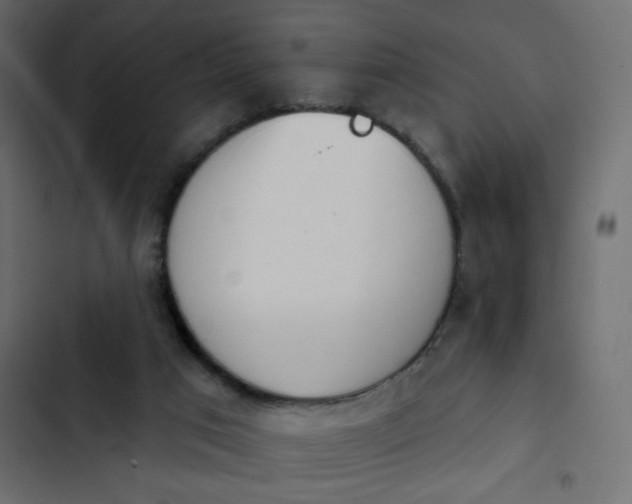 X0000103930017200809261713
