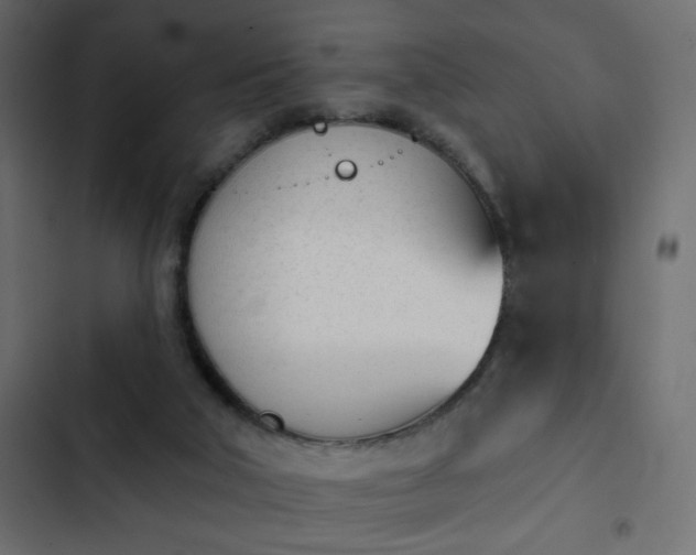X0000103930018200809261713