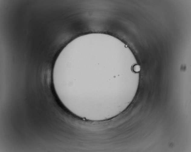 X0000103930019200809261713