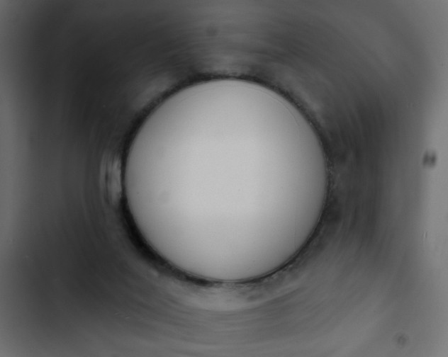 X0000103930020200809261713