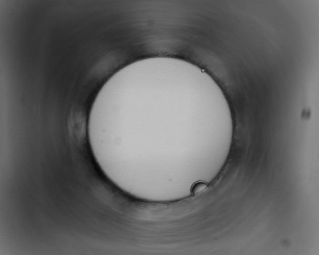X0000103930021200809261713